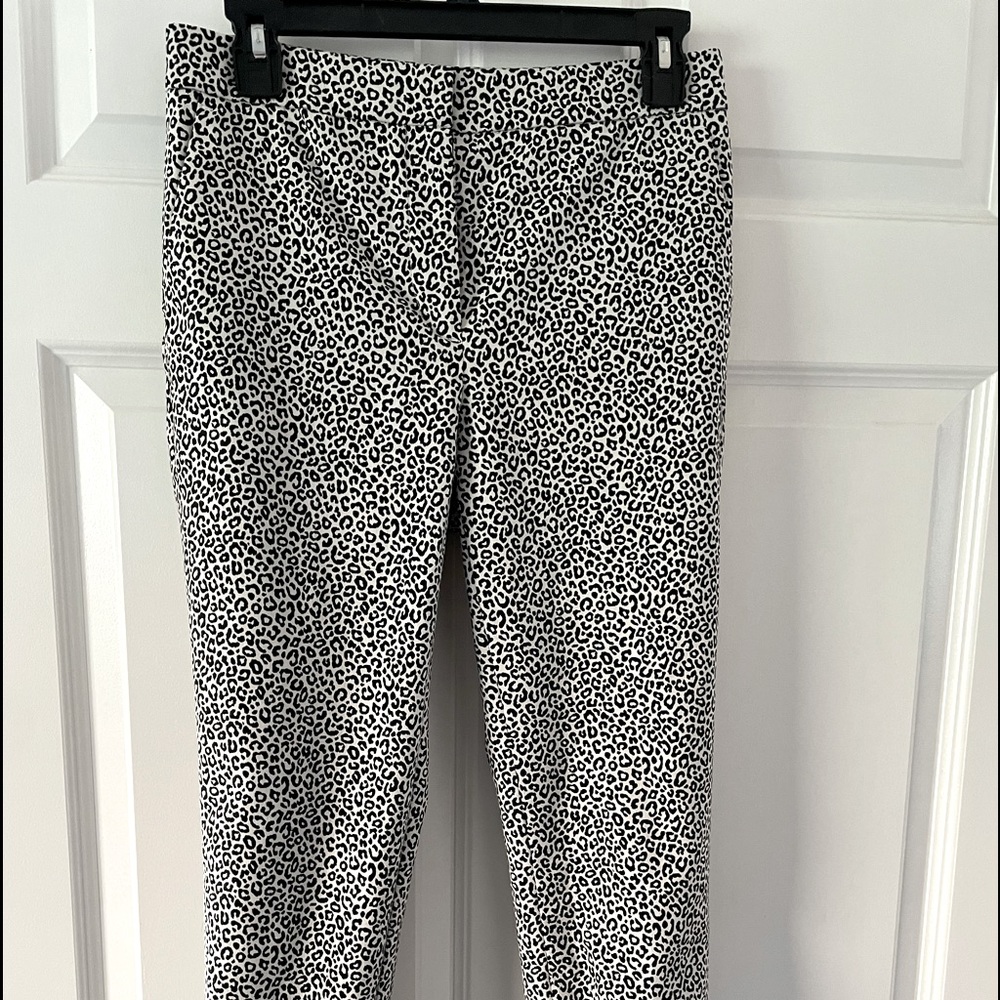 Ann Taylor Dress Pants
